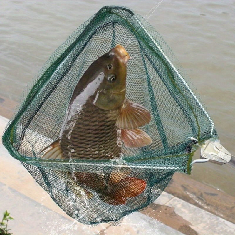 Foldable Triangle Fishing Land - Landing Net Telescopic review and price